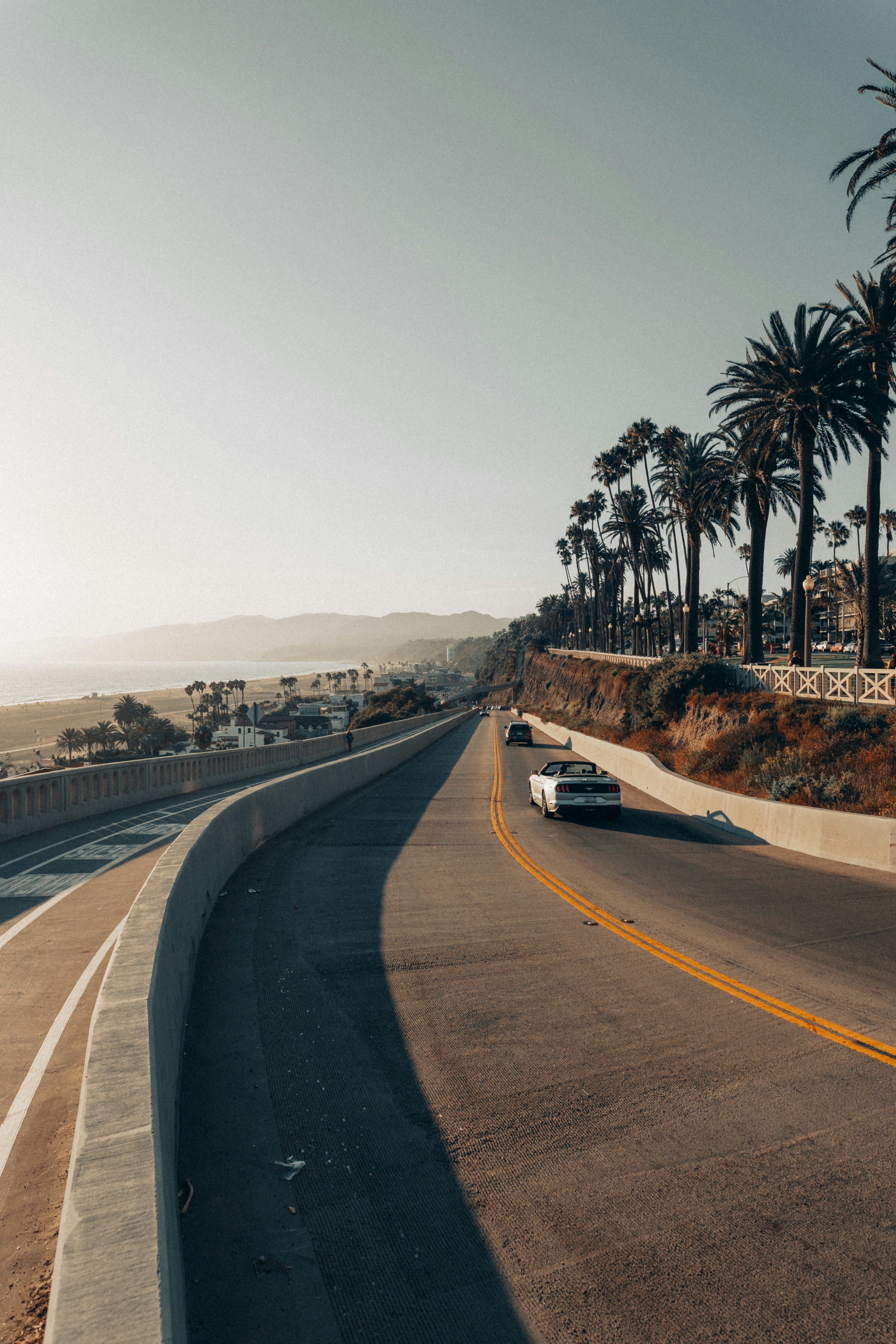 Scenic coastal highway with palm trees and cars